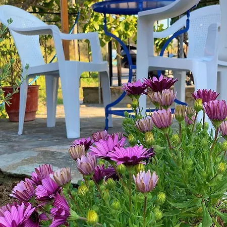 Vakantiehuis House Chorto