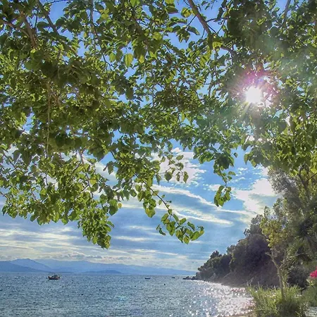 House Vakantiehuis *