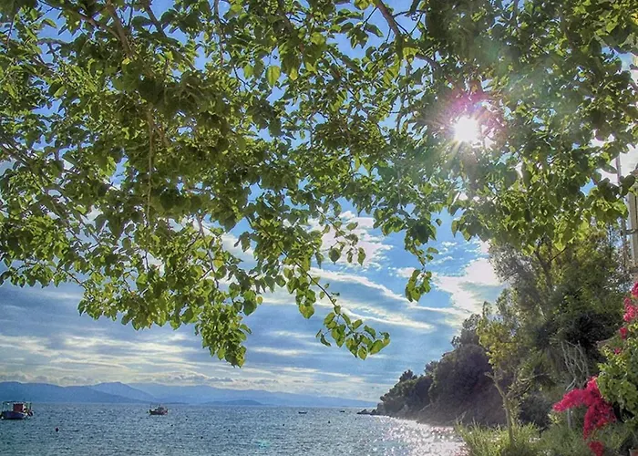 House Vakantiehuis *