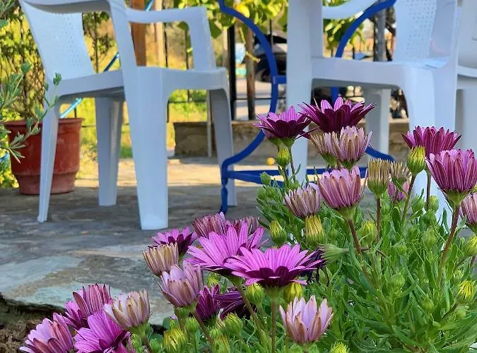 Vakantiehuis House Chorto